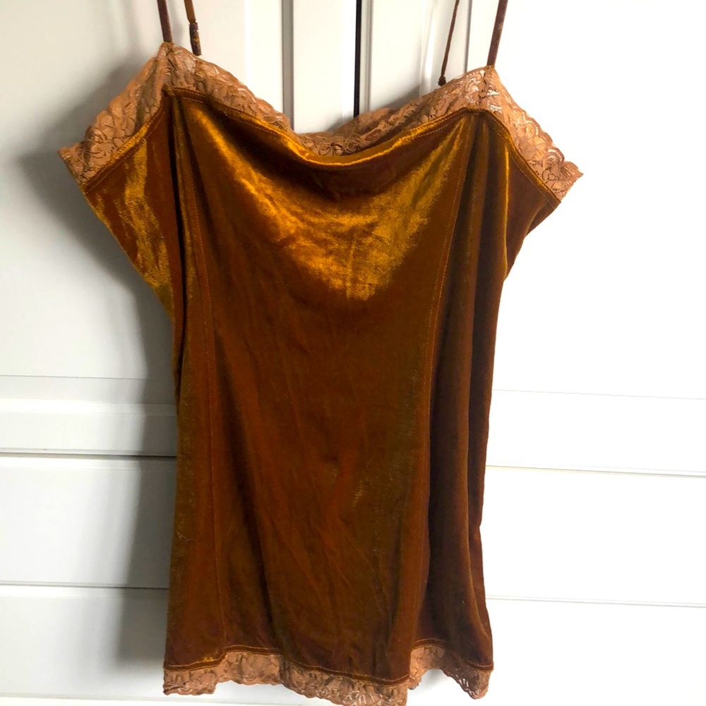 Delicates Velvet dress